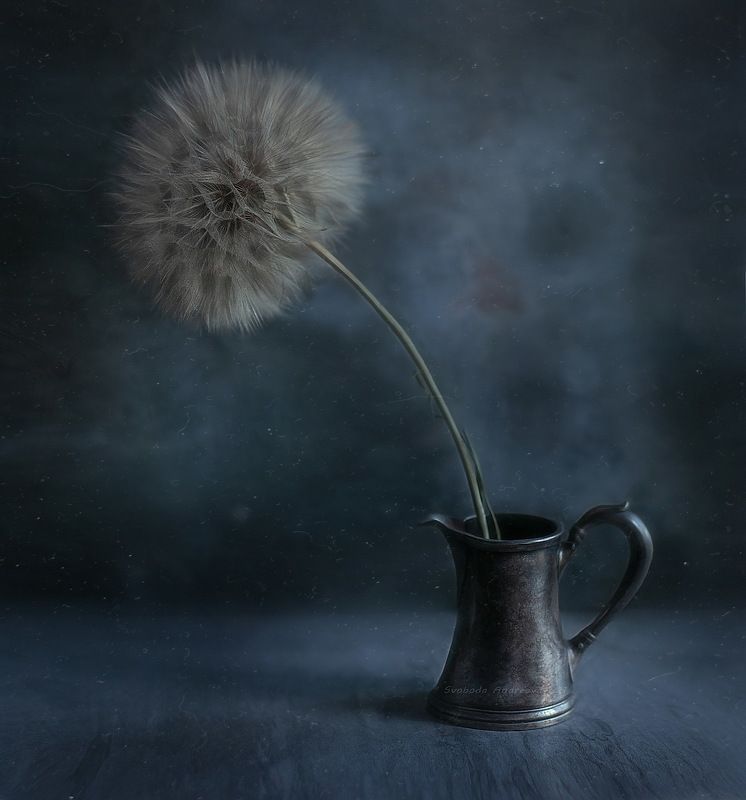 повышенная пухнастость*photo preview