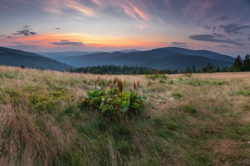 mountains, summer, poland, slovakia, sunrise Summer in the Mountainsphoto preview