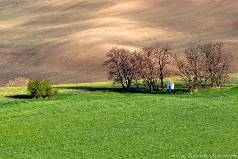 moravia, ,hills, ,spring, ,season, ,colors, ,tree, ,light, ,sunrise, ,fields, ,landscape, ,photography, ,chapel, , St.Barbara chapelphoto preview