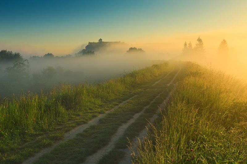 тынец, краков, монастырь, польша, туман, утро, лето, poland, tyniec, golden hour, summer, meadow, abby, sunrise, tranquility, solitary, outdoor, lesser poland, monastery, heritage, europe, mist, fog, quiet, calm, natural light, krakow, Дорога на Тынецphoto preview