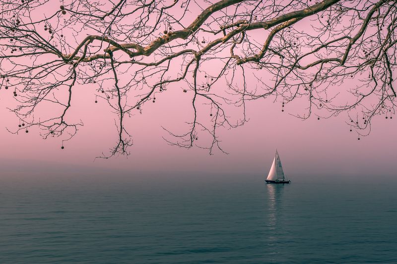 лодки, корабли, пейзаж Лодки и кораблиphoto preview