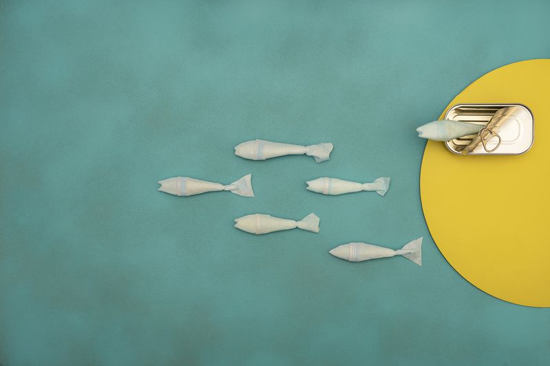 freedomphoto preview