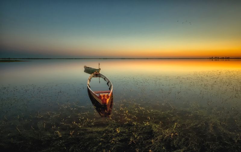 Беларусь Приплылиphoto preview