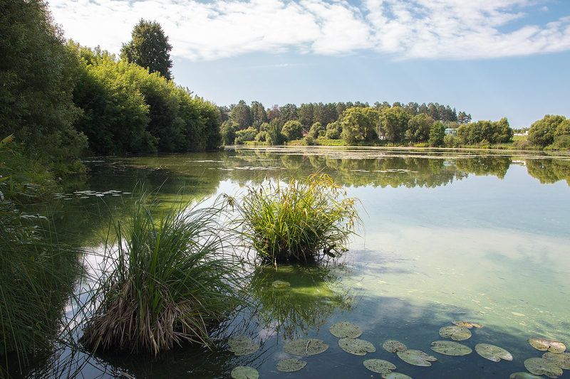 Сельская безмятежностьphoto preview