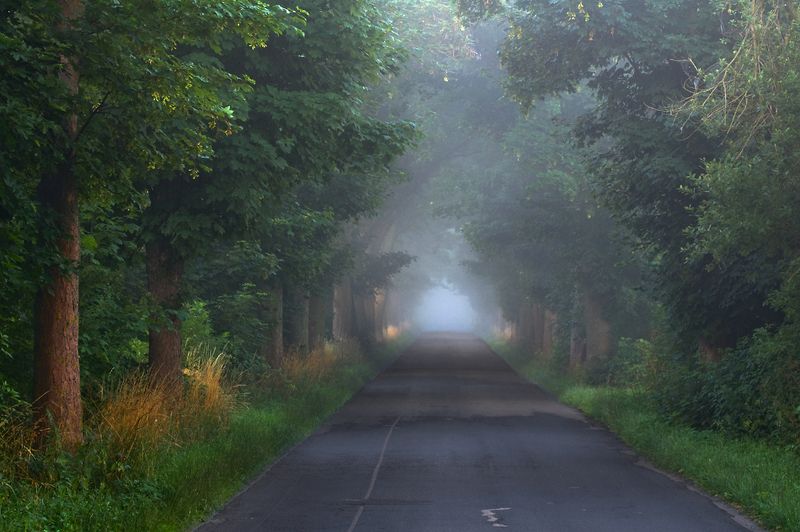 morning trip...photo preview