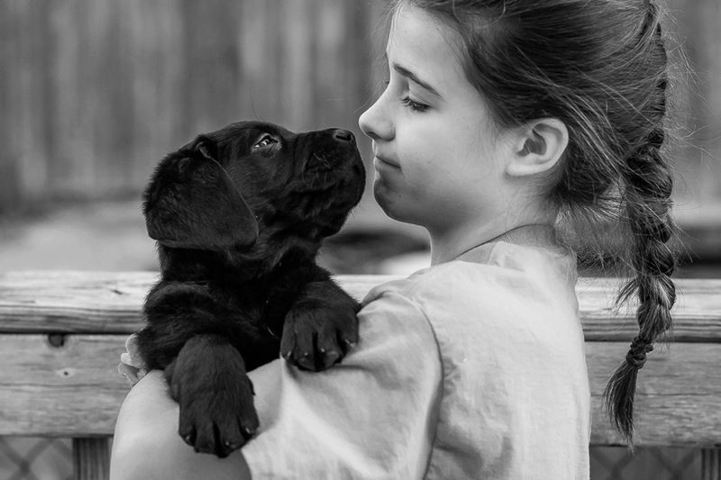 Друзья...photo preview