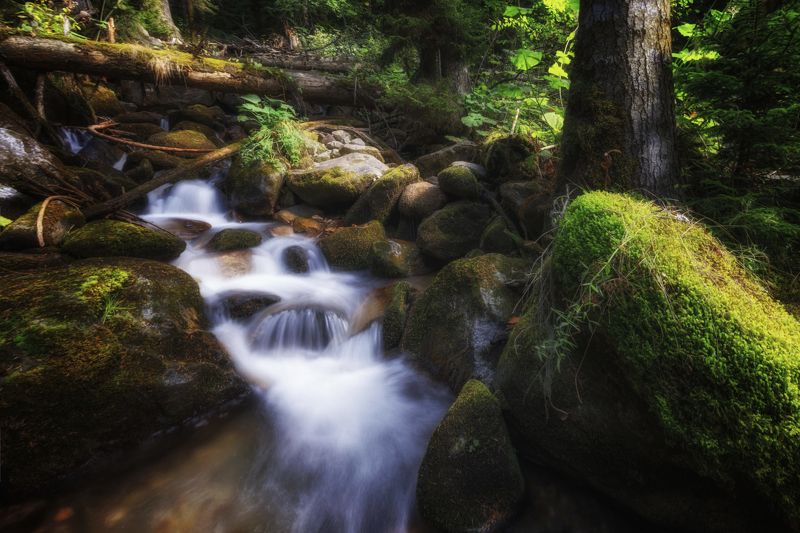 пейзаж, горы, кавказские горы, архыз, природа россии Летняя прохладаphoto preview