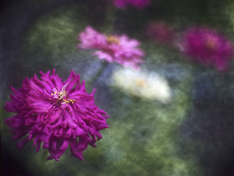 Краски летаphoto preview