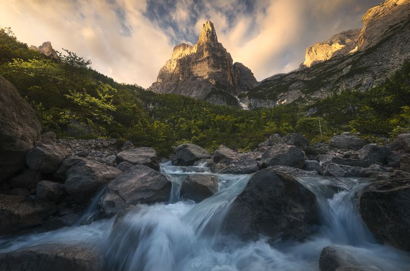 Touch of goldphoto preview