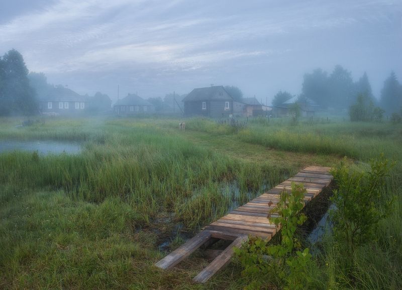 Июльское прохладное утроphoto preview