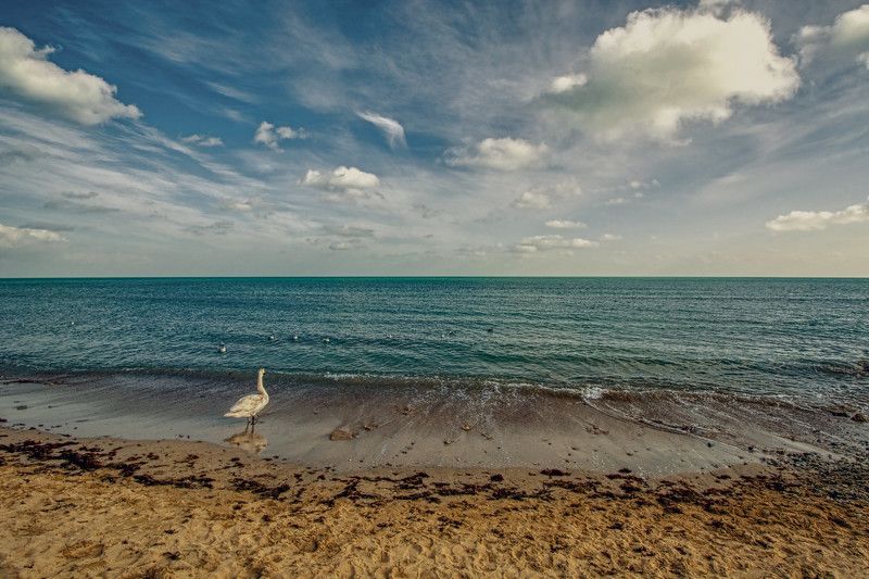 море Черноеphoto preview