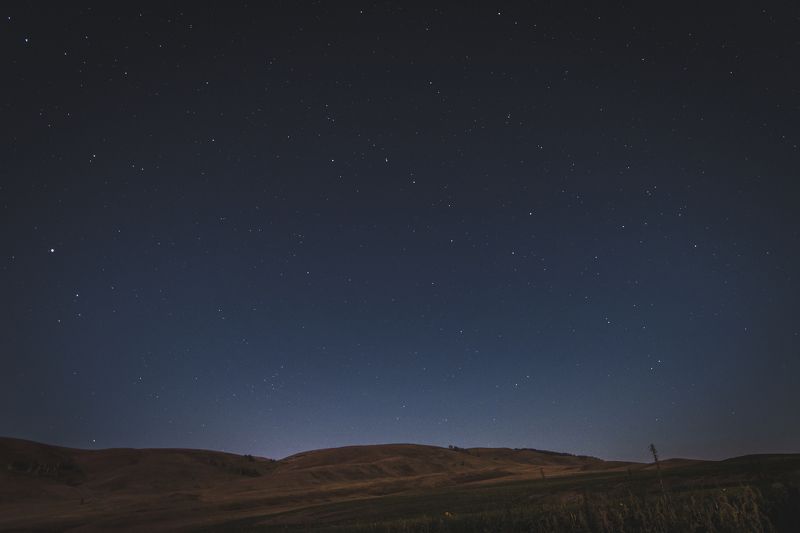 Летняя ночьphoto preview