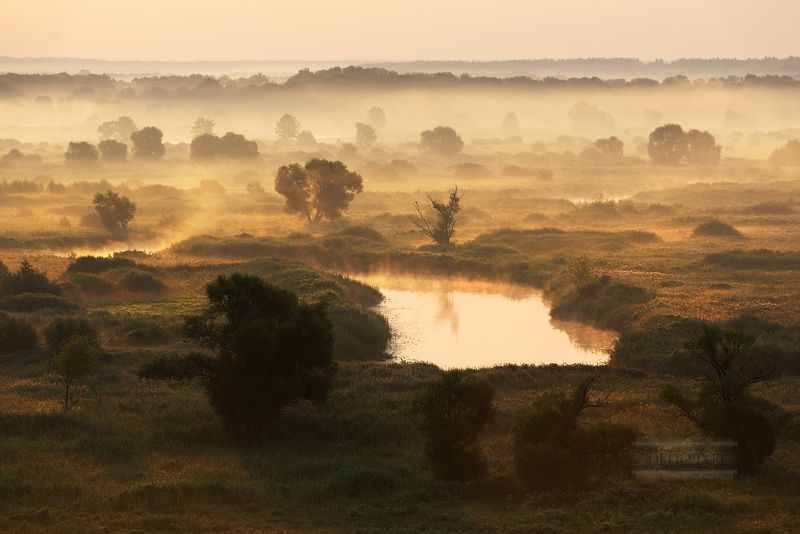 Пробуждениеphoto preview