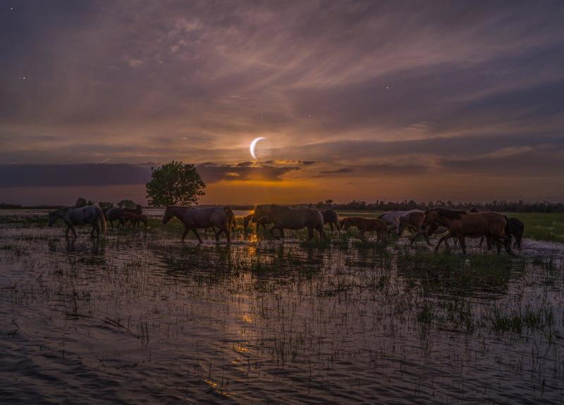 село  КАМЫШОВО ГРУСТНЫЙ  МЕСЯЦ photo preview