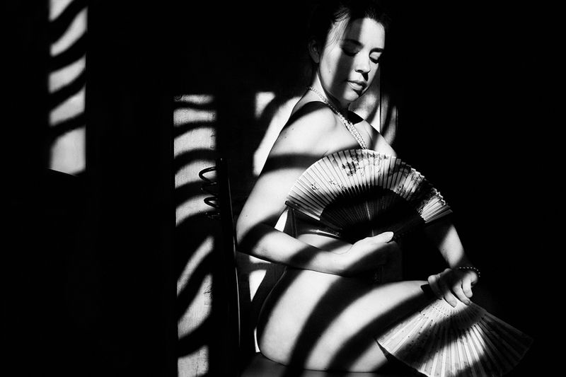 art nude, fine art nude, bw nude, estet mf, minimalism nude, shadows, zebra shadows, art shadows, zebra, zebra with a fan *photo preview