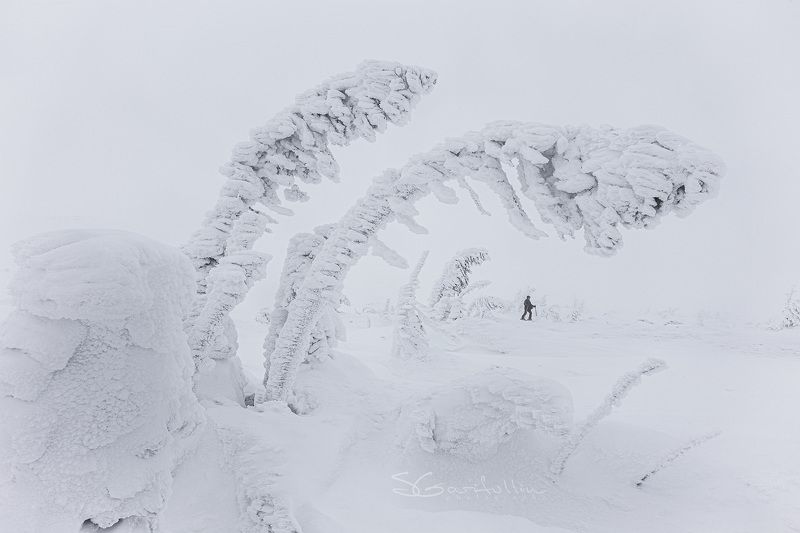 урал, северный урал, гух, зимний пейзаж Белый Уралphoto preview