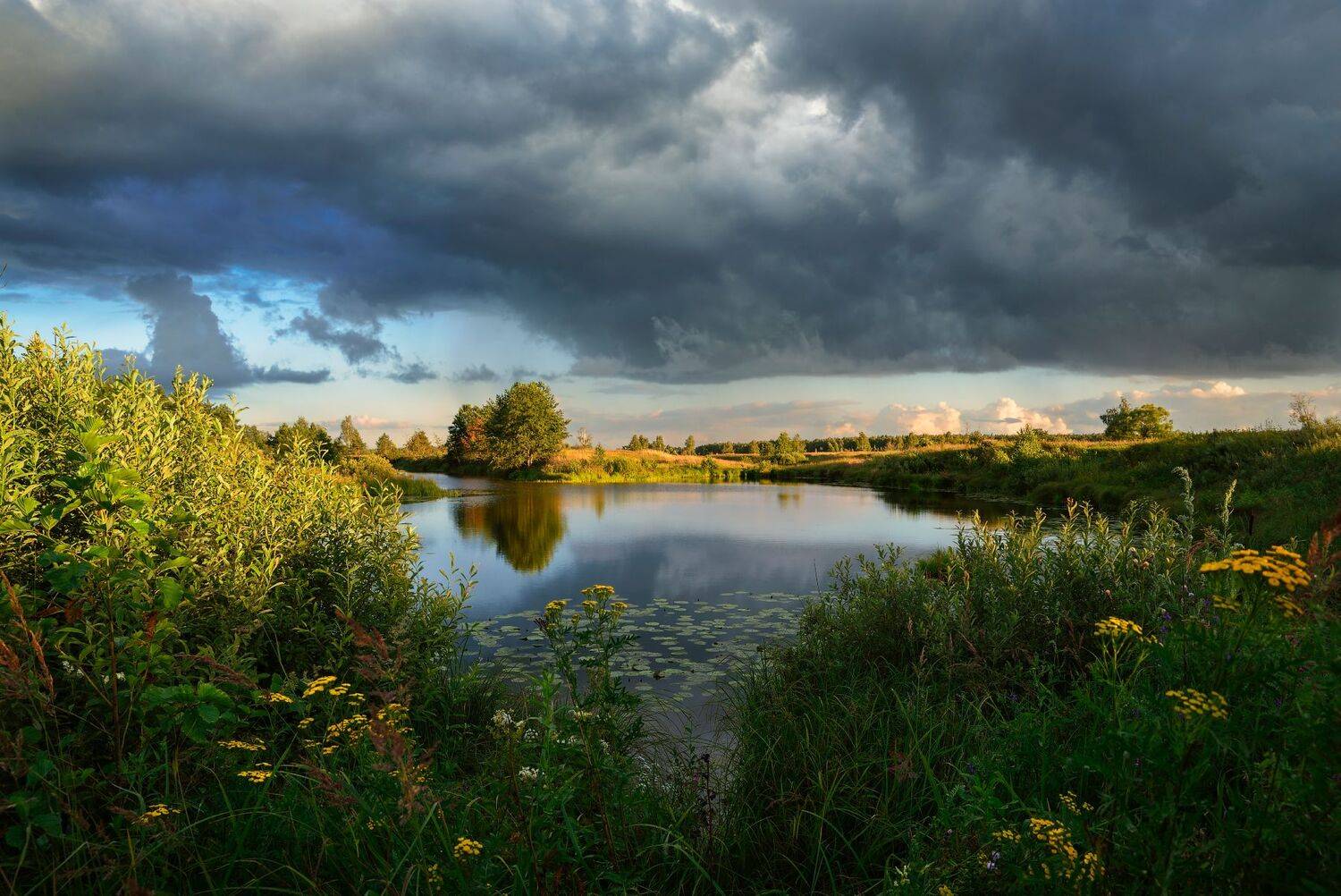 летним вечером. Автор: Виталий Полуэктов лето,вечер,река,заводь,небо,облака,тучи,отражение,свет, Виталий Полуэктов