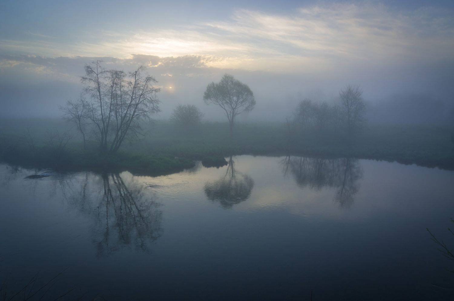 Туманное утро. Автор: Александр Кыров туман, московская область, утро, природа, пейзаж, весна, рассвет, солнце, Александр Кыров