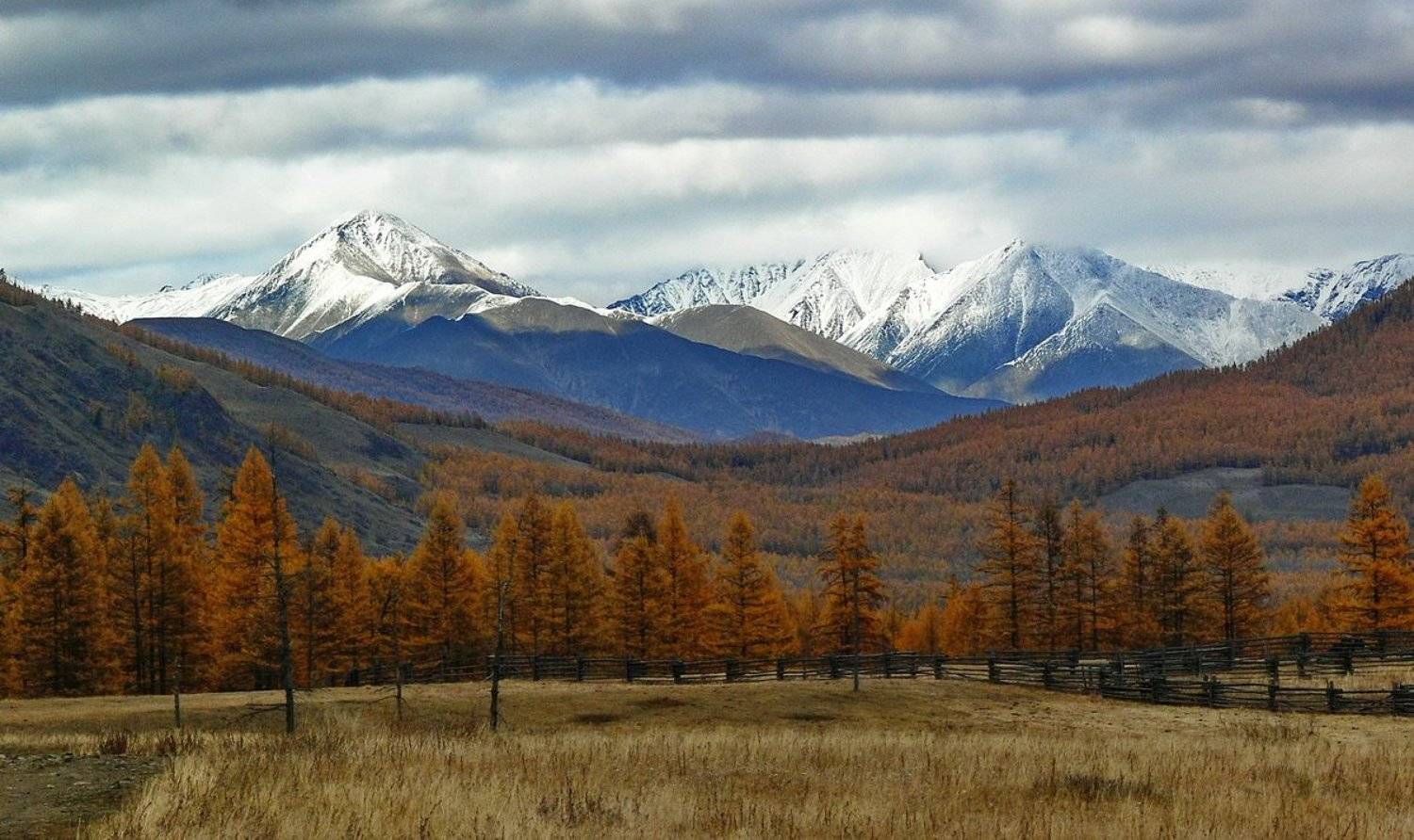 Накануне снегопада. Автор: Дмитрий Кононов , Дмитрий Кононов