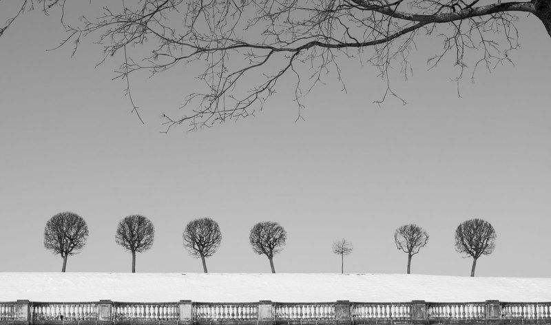 Марлёвоеphoto preview