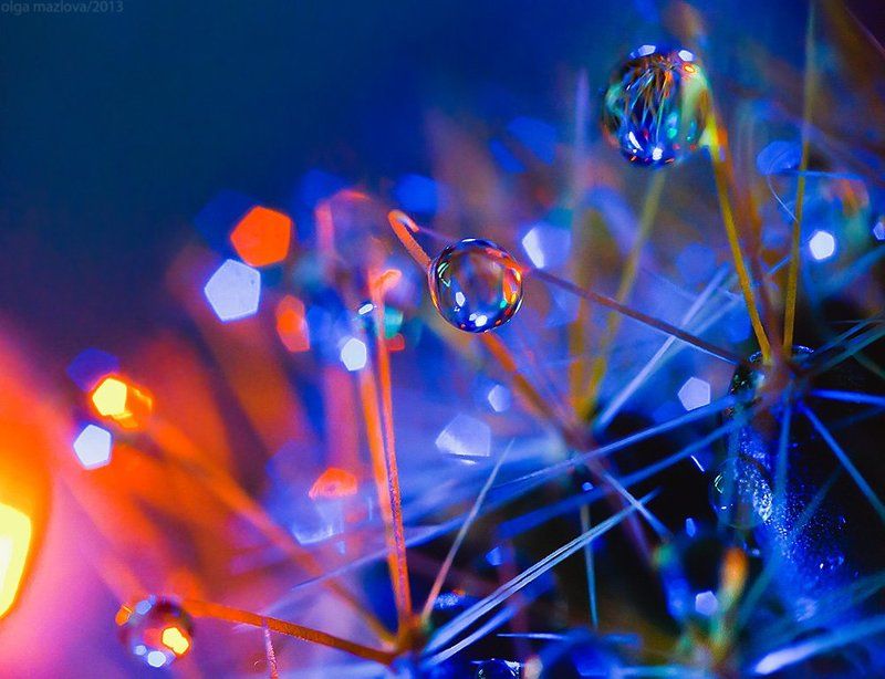 ... фото превью