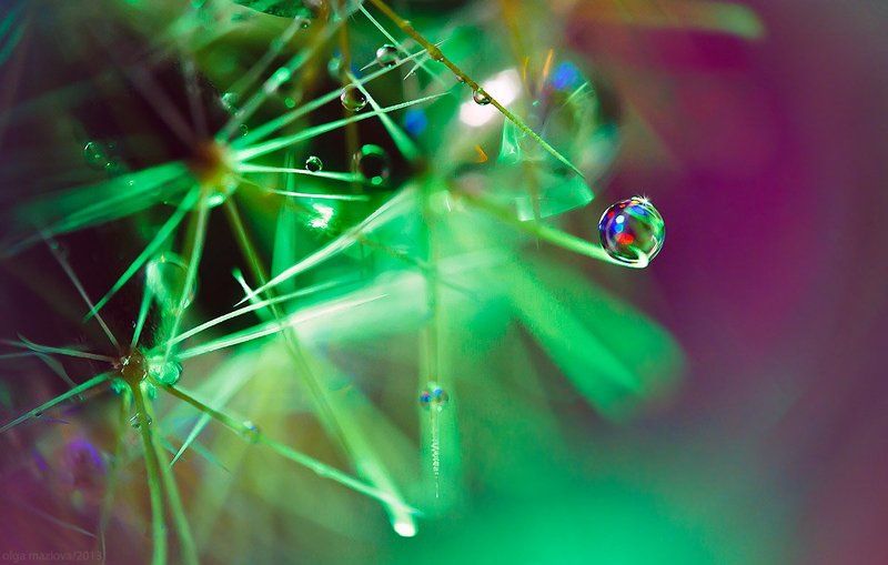 капля ... фото превью