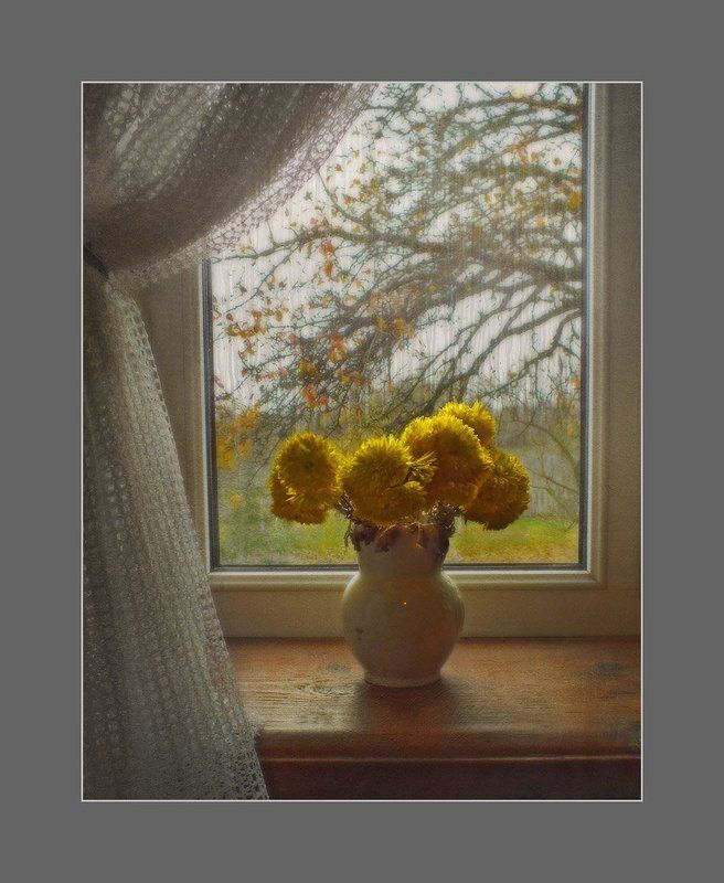 Последние хризантемыphoto preview