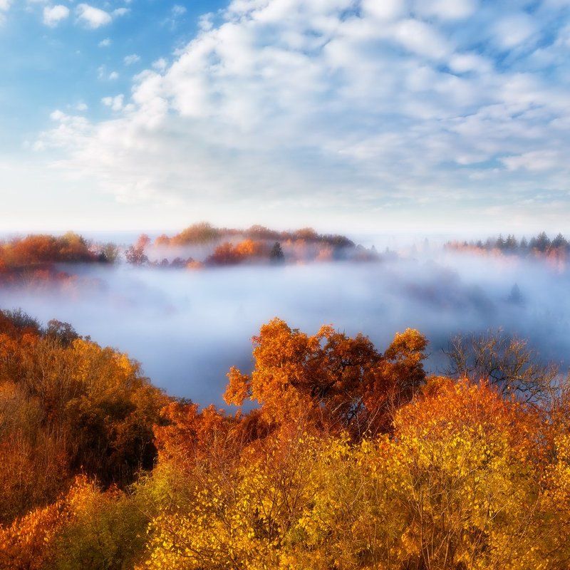 дыхание осениphoto preview