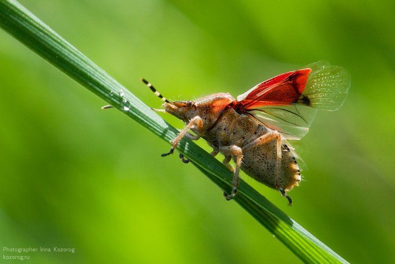 На взлетphoto preview