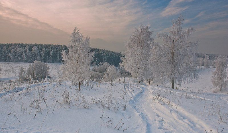 В морозных кружевах...photo preview