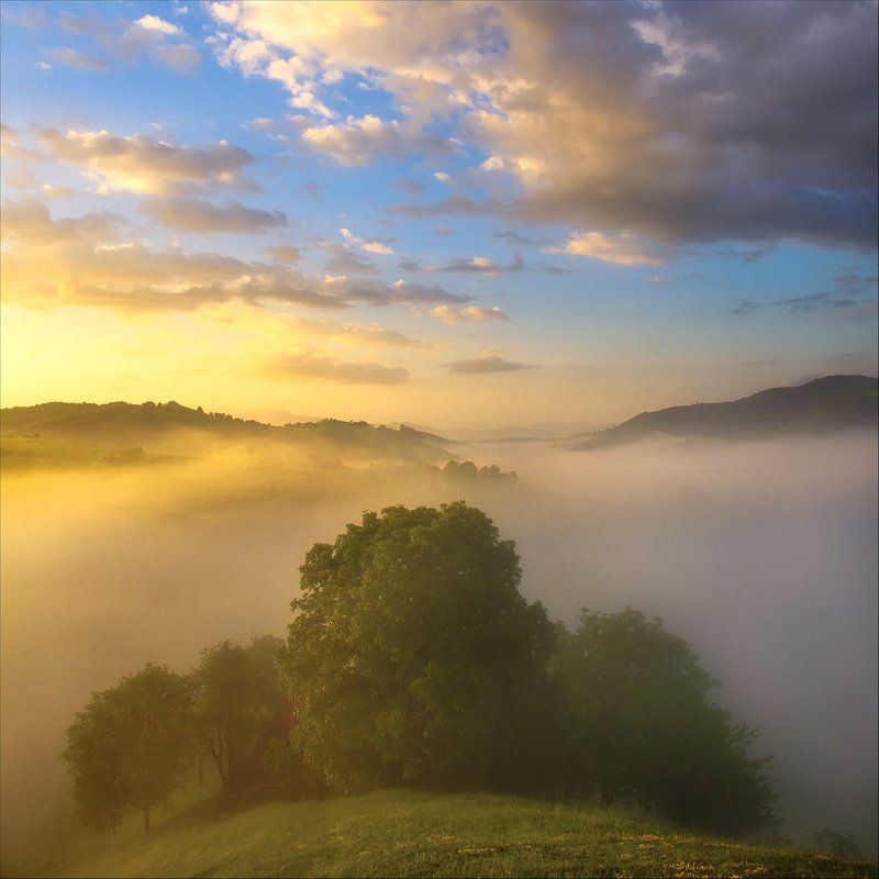 Fog, Hills, Landscape, Nature, Romania, Sunrise photo preview