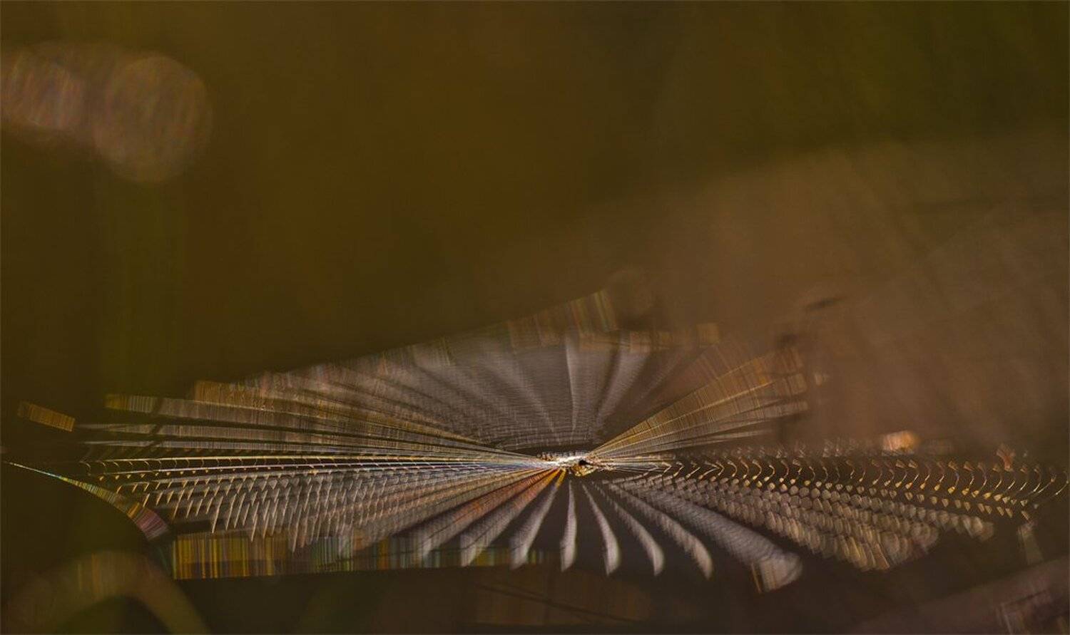 Спектр сигнала.... Автор: Геннадий Мещеряков , Геннадий Мещеряков