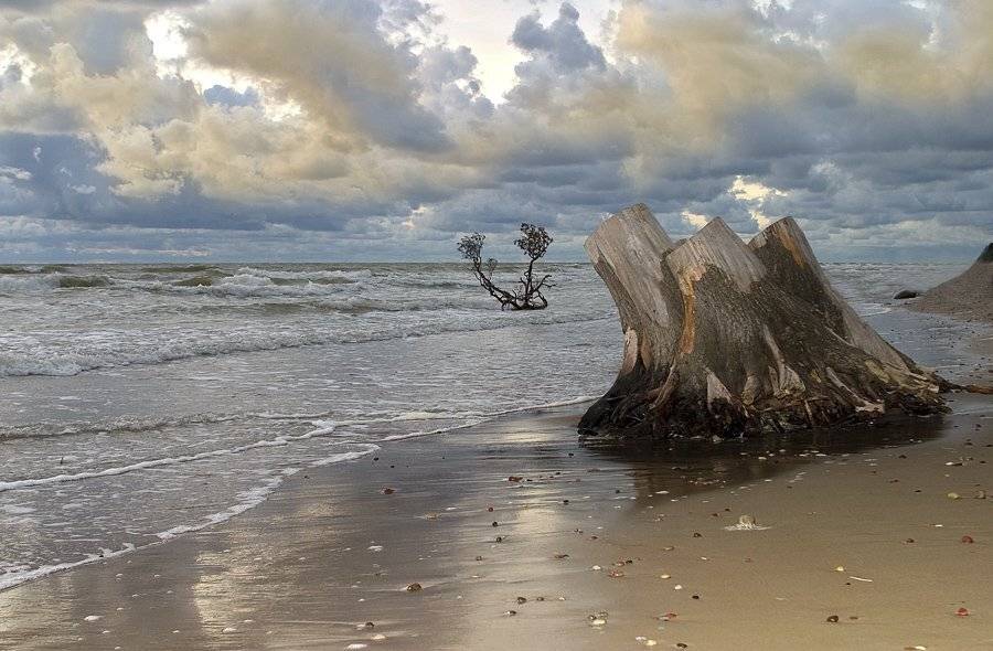 ***. Автор: Vidas Daukantas , Vidas Daukantas