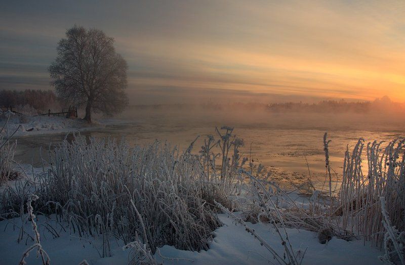 Морозный вечерphoto preview