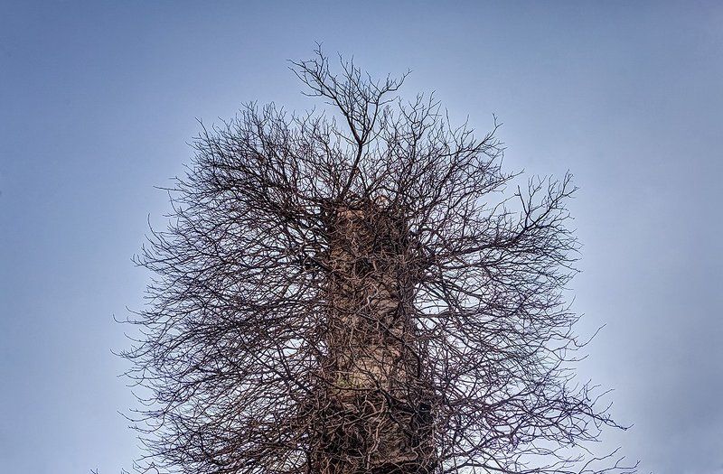 Старая церковьphoto preview