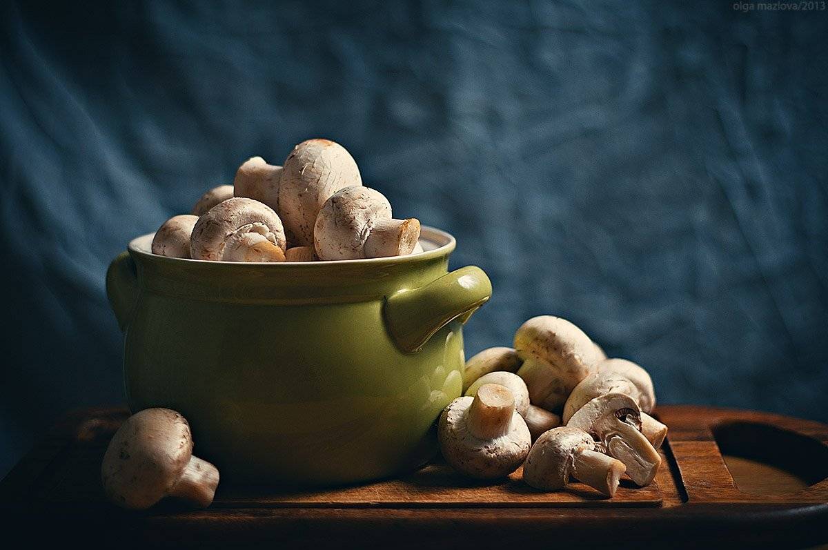 .... Автор: olga mazlova , olga mazlova