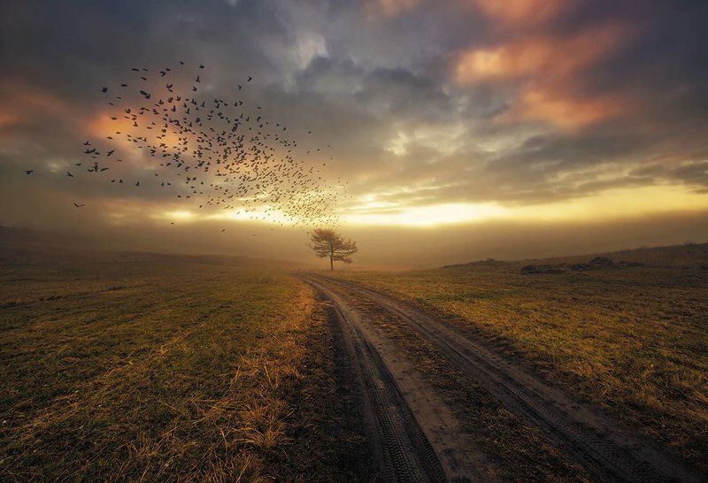 В дальний путь...photo preview