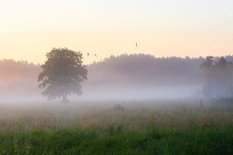 Good Morningphoto preview