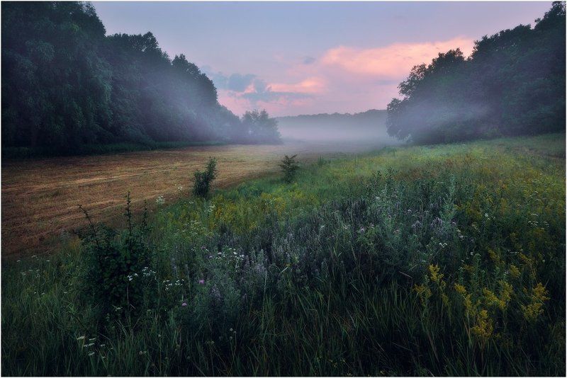 осень, пейзаж, природа Любимая пораphoto preview