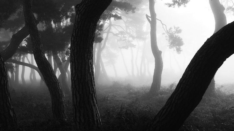 Morning Calmphoto preview