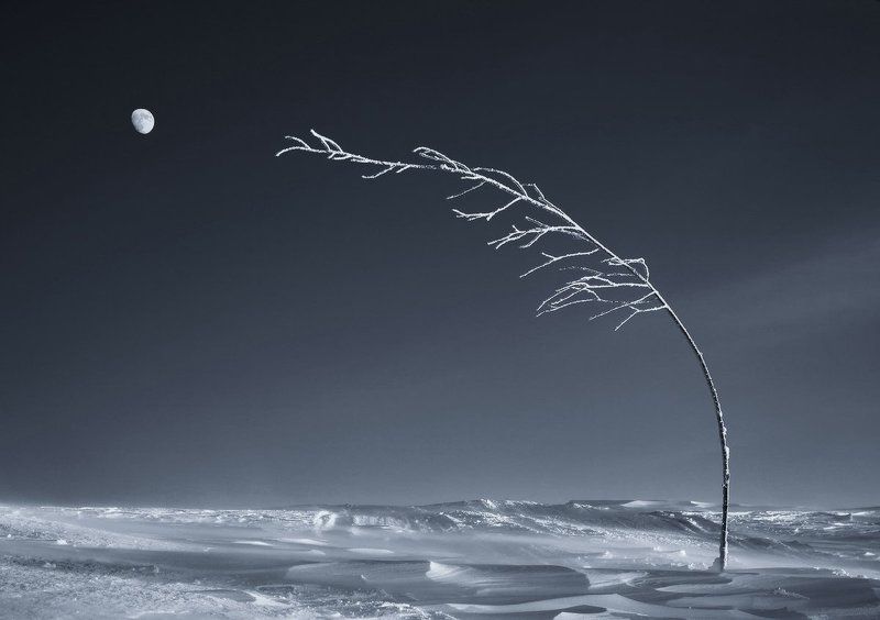 Стремлениеphoto preview