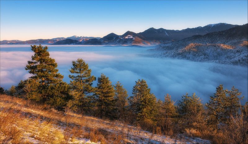 Clouds, Fog, Forest, Lanscape, Sunset, Trees, Winter photo preview