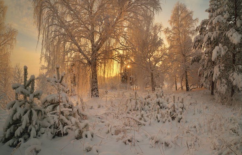 Кого испугалась гуанака?photo preview