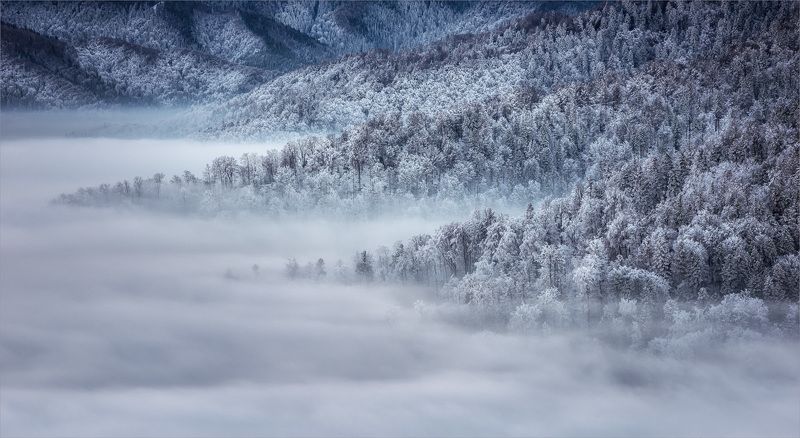 Fog, Landscape, Mountain photo preview