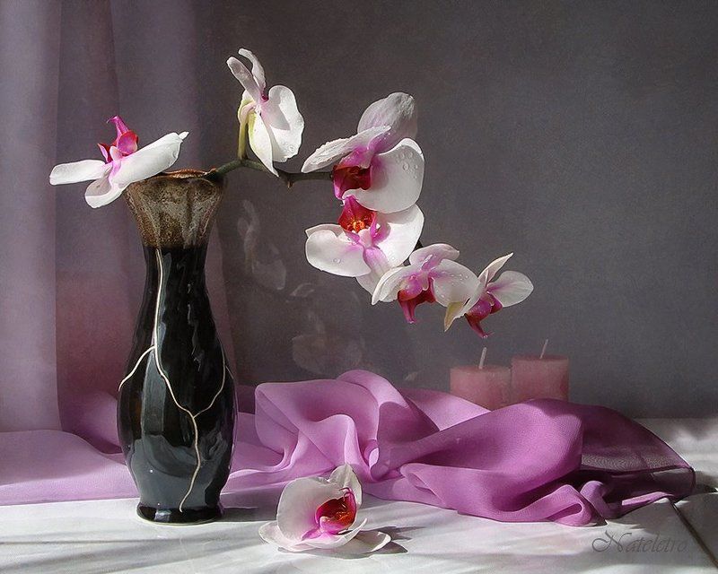 Бабочки...photo preview