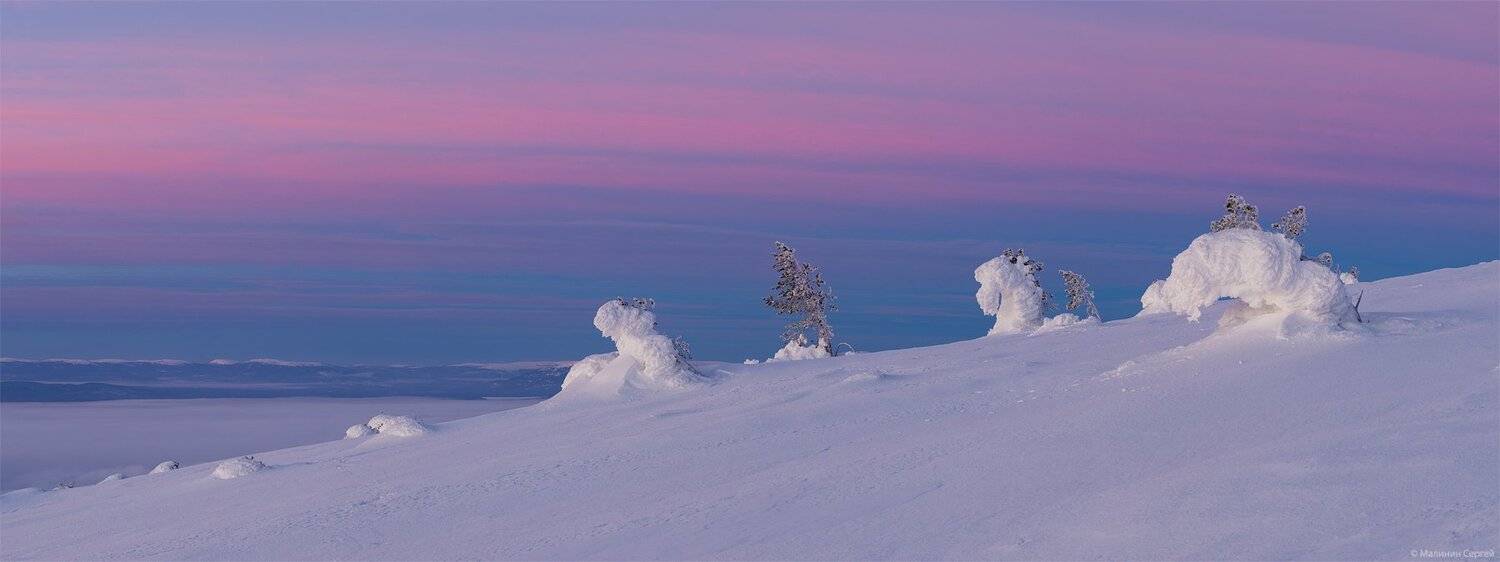 Kola Peninsula, Morning, Pink, Sunrise, White sea, Winter, Белое море, Волосяная, Заполярье, Зима, Кандалакша, Кандалакшский залив, Кольский, Рассвет, Сергей Малинин