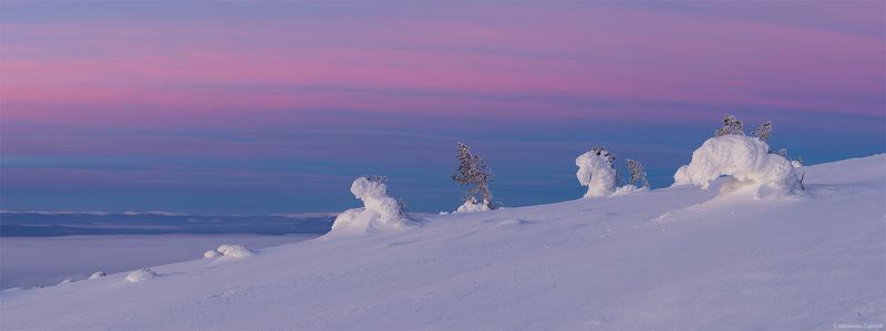 Kola Peninsula, Morning, Pink, Sunrise, White sea, Winter, Белое море, Волосяная, Заполярье, Зима, Кандалакша, Кандалакшский залив, Кольский, Рассвет Хрупкая нежность зимнего утра.photo preview