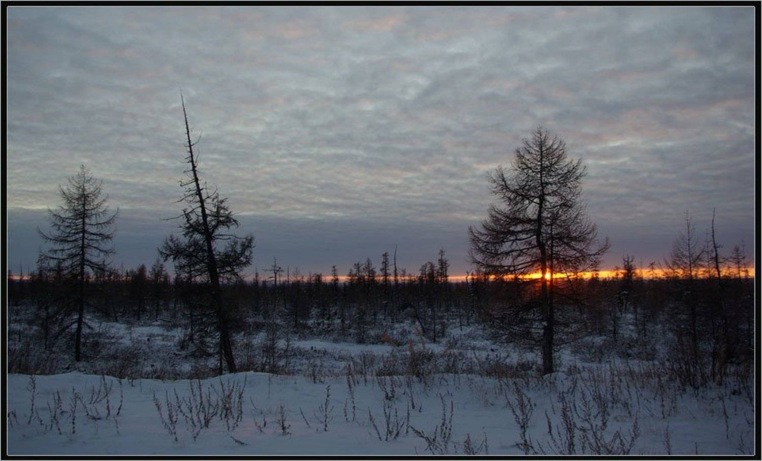, Солодухин Виктор