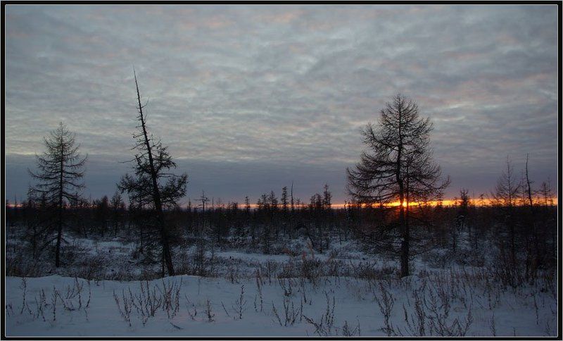 Зимний вечерphoto preview