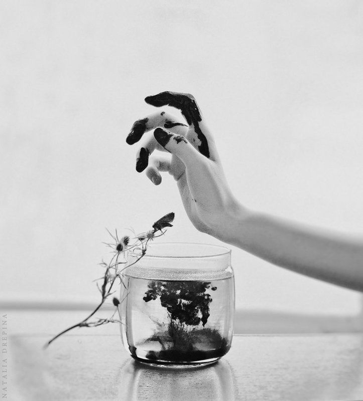 Still Life Inkphoto preview